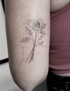 b5b61ed2-1a60-4267-921a-cdb703ceb375